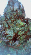 Load image into Gallery viewer, Sour Diesel THC"A" 25% Sativa, 2 Grams
